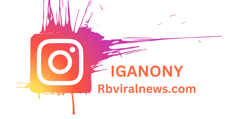 IGANONY: Instagram story viewer and downloader